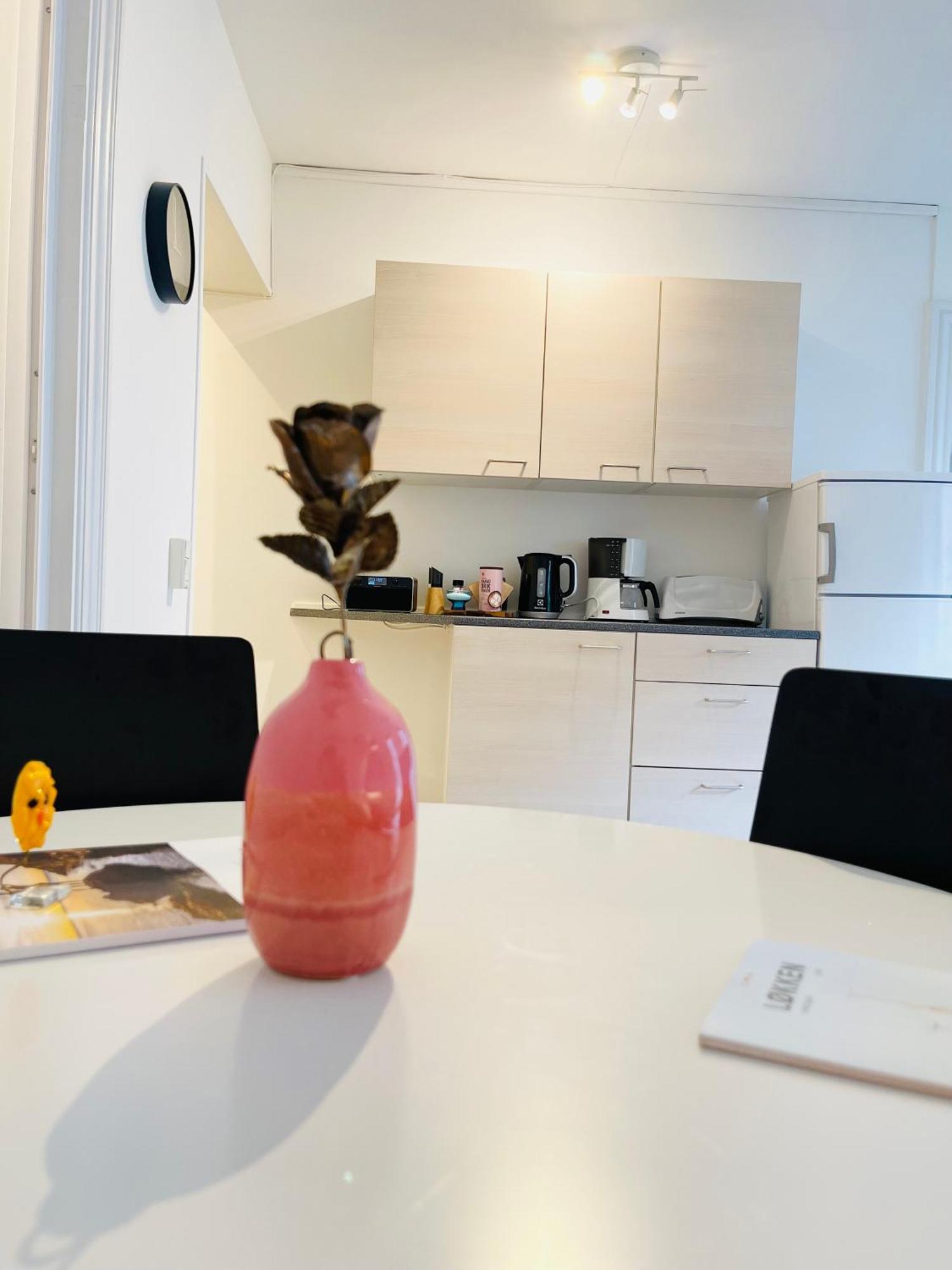 Scandinavian Apartment Hotel -Lunden 2- Central 2 Room Apartment Horsens Eksteriør bilde